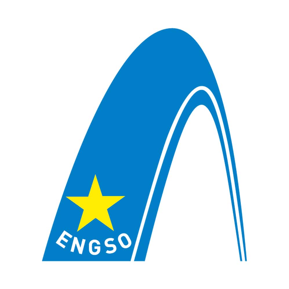 ENGSO logo